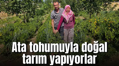 Ata tohumuyla doğal tarım yapıyorlar