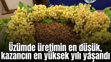 Üzümde üretimin en düşük, kazancın en yüksek yılı yaşandı