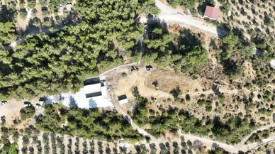 Kırkağaç Belediyesi’nden sahipsiz hayvanlara büyük yatırım