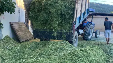 Manisa'da besiciler slaj yapımına başladı