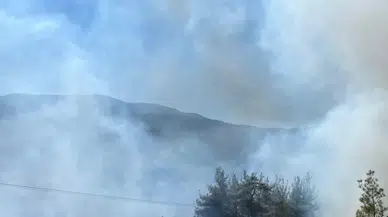 Sındırgı'da orman yangını çıktı