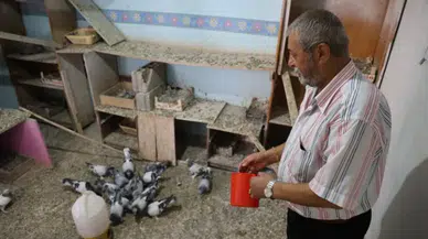 Bu kuşları liglere göre sınıflandırılıp fiyat biçiyor