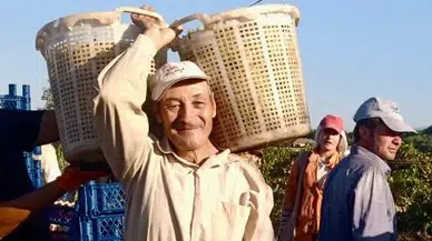 Yaşını duyan çalışma azmine hayran kalıyor