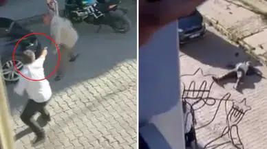 Eski HDP ilçe başkanı öldürüldü