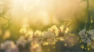 Cemre Ne Zaman Düşecek? 2026'da İlk Cemre Ne Zaman Düşüyor? İşte Baharın Habercisi Olan Takvim