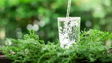 Zemzem, Musluk ve Arıtma Suyu Ölçüldü: Cihaz Sonuçları Ne Anlatıyor?