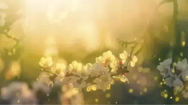 2026 Cemre Takvimi Belli Oldu: İlk Cemre Ne Zaman Düşecek, Havalar Ne Zaman Isınacak?