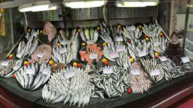 Mart Ayı Balık Rehberi: Hangisi Alınır, Hangisinden Uzak Durulur?