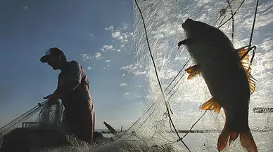 2026 av yasağı başlıyor: Kıyı balıkçılığı serbest mi, hangi türlerde özel yasak var?