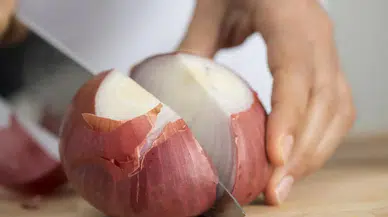 Soğan kokusu nasıl giderilir? Mutfakta kötü kokuyu yok eden etkili yöntemler