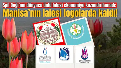Spil Dağı’nın dünyaca ünlü lalesi ekonomiye kazandırılamadı: Manisa’nın lalesi logolarda kaldı!
