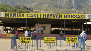 Canlı Hayvan Borsası Kurbanlık Pazarı açıldı