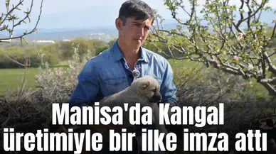 Manisa'da Kangal üretimiyle bir ilke imza attı
