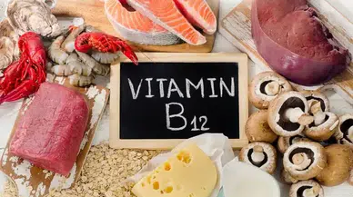 B12 vitamini en çok hangi besinde var? İşte uzmanların işaret ettiği güçlü kaynak