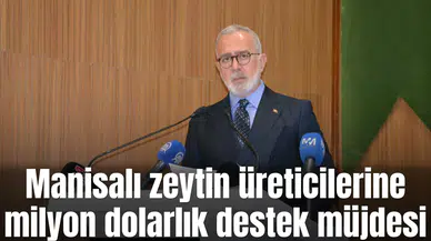 Manisalı zeytin üreticilerine milyonluk destek müjdesi