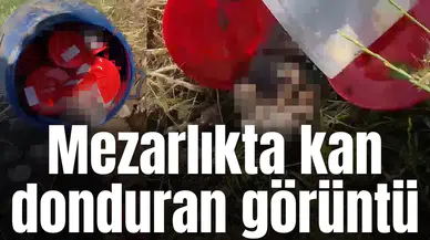 Mezarlıkta kan donduran görüntü: Varilin içinden 21 tane cenin çıktı