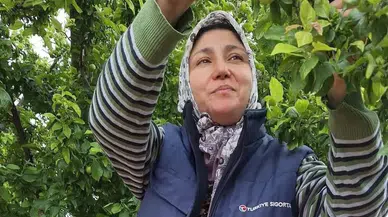 Üreticinin yüzünü güldüren bolluk