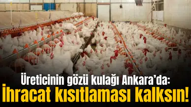 Üreticinin gözü kulağı Ankara’da: İhracat kısıtlaması kalksın!