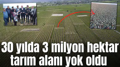 30 yılda 3 milyon tarım alanı yok oldu