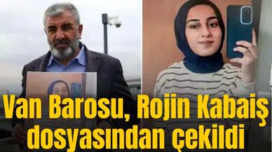 Van Barosu, Rojin Kabaiş dosyasından çekildi