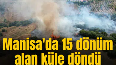 Manisa'da 15 dönüm alan küle döndü