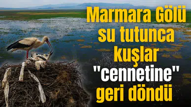 Marmara Gölü su tutunca kuşlar "cennetine" geri döndü