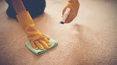 Halıdaki Kötü Koku ve Lekeler Nasıl Çıkar? İşte Doğal Temizlik Rehberi
