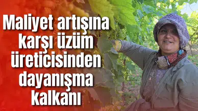 Maliyet artışına karşı üzüm üreticisinden dayanışma kalkanı