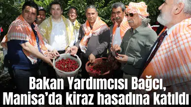 Bakan Yardımcısı Bağcı, Manisa’da kiraz hasadına katıldı