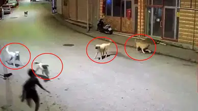 10 yaşındaki çocuk dehşeti yaşadı
