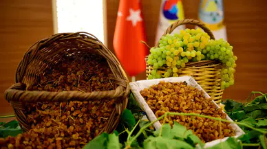 Manisa'nın kuru üzüm ihracatındaki hedefi bakın ne kadar