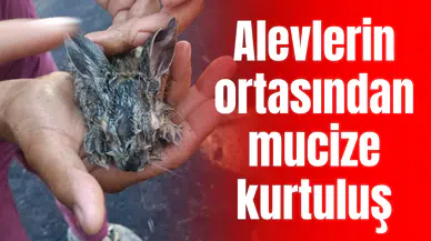 Alevlerin ortasından mucize kurtuluş:  Ekiplerin müdahalesiyle hayata tutundular