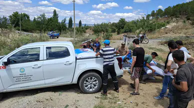 Büyükşehir'den üreticilere yem desteği