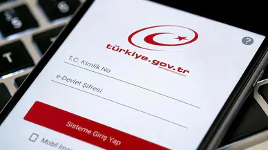 e-Devlet'ten kritik sorgulama: Tek ekrandan kontrol edin