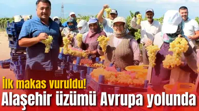 İlk makas vuruldu! Alaşehir üzümü Avrupa yolunda