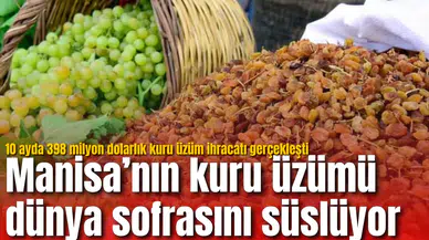 Manisa’nın kuru üzümü dünya sofrasını süslüyor