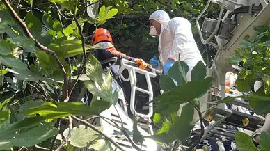 Ağaçlık alandaki kokunun sebebi bakın ne çıktı