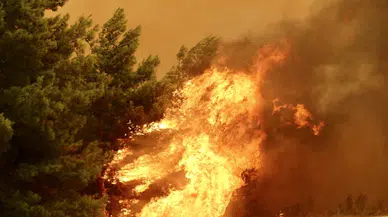 3 ilimiz alevlere teslim oldu!