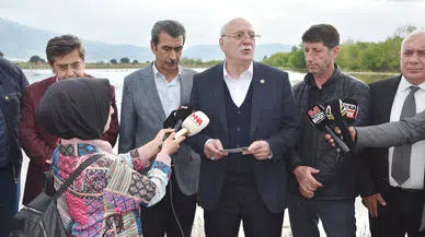 Haziran ayında fiyatı en fazla düşen ürün domates oldu