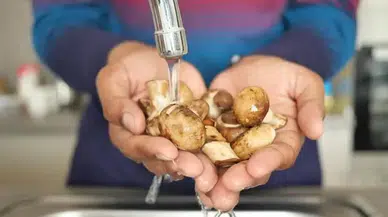 Mantar temizliğinde ezber bozan yöntem! Su yerine bunu kullanın!