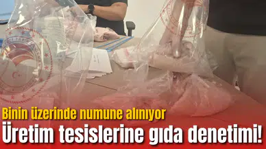 Üretim tesislerine gıda denetimi! Binin üzerinde numune alınıyor