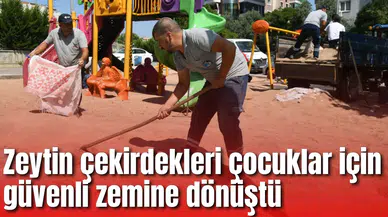 Zeytin çekirdekleri çocuklar için güvenli zemine dönüştü