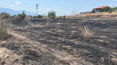 Sarıgöl’de otluk yangını korkuttu: Ekipler ve vatandaşlar birlikte söndürdü