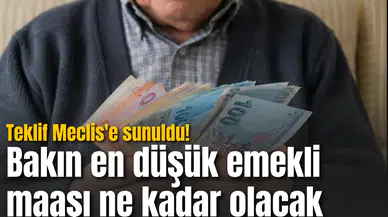 Teklif Meclis'e sunuldu! Bakın en düşük emekli maaşı ne kadar olacak