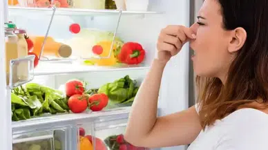 Buzluk kokusuna karşı şaşırtan yöntem! Kötü kokuyu hızla içine çekiyor