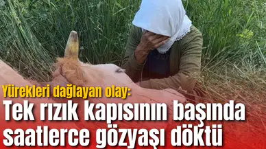 Yürekleri dağlayan olay: Tek rızık kapısının başında saatlerce gözyaşı döktü