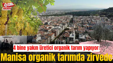 Manisa organik tarımda zirvede