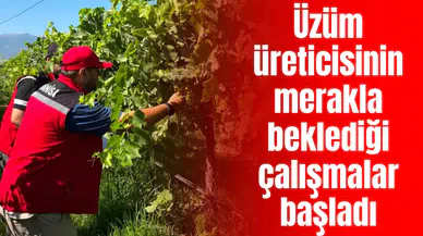 Tarım İl Müdürlüğünden rekolte çalışması