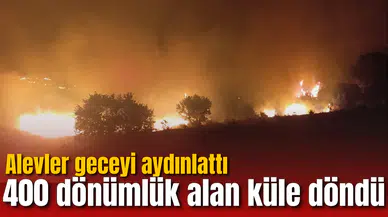 Alevler geceyi aydınlattı! 400 dönümlük alan küle döndü