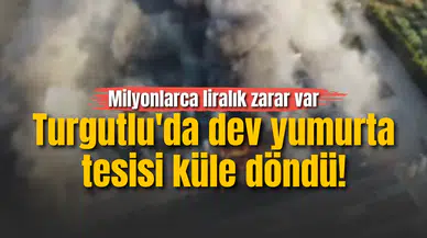 Turgutlu'da dev yumurta tesisi küle döndü! Milyonlarca liralık zarar var
